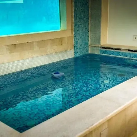With Pool And Sauna Villa